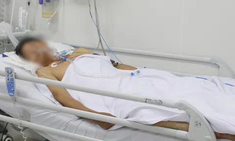 Thêm một người nhập viện do ngộ độc pate Minh Chay