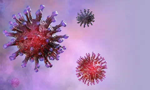 Nóng: Phát hiện virus SARS-CoV-2 trên bao bì mực nhập khẩu vào Trung Quốc