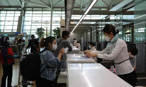 Nghĩa của Đất Mẹ