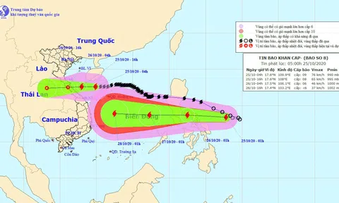 Bão số 8 giật cấp 11 đang hướng vào Hà Tĩnh - Quảng Trị