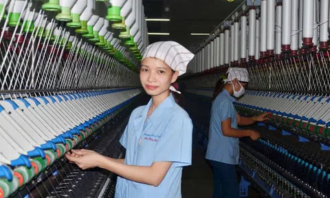 Cô gái có bàn tay 'vàng' của thành phố dệt Nam Định