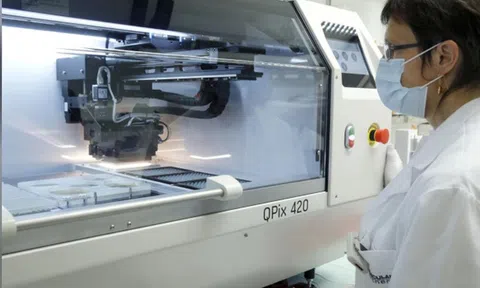 Nhật Bản xác nhận 5 trường hợp nhiễm biến thể virus SARS-CoV-2