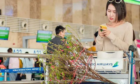 Nhu cầu đi lại Tết Dương lịch của người dân giảm mạnh