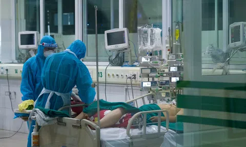 Những dấu ấn của Việt Nam trong một năm đương đầu đại dịch