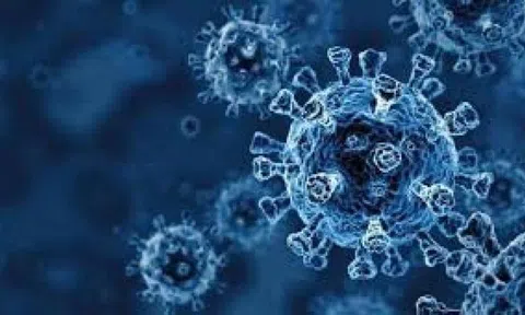 Biến thể virus SARS-CoV-2 mới có khả năng lây nhiễm và phát triển ở mọi lứa tuổi