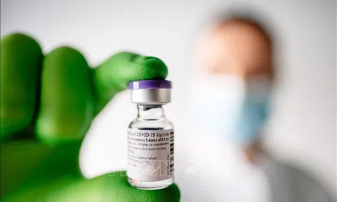 WHO lần đầu công nhận vaccine COVID-19 do Pfizer phát triển