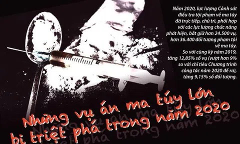 Những vụ án ma túy lớn bị triệt phá trong năm 2020