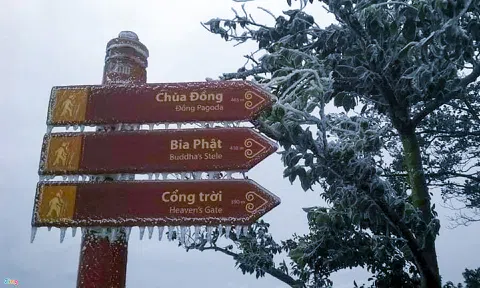 Băng giá phủ trắng đỉnh Yên Tử