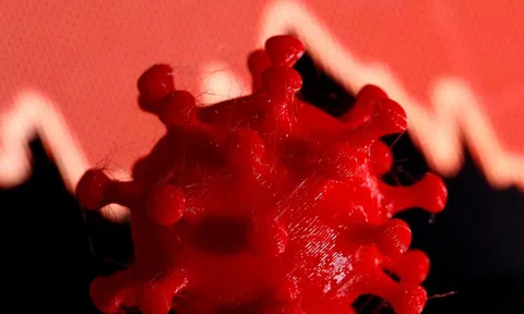 Mỹ: Phát hiện chủng virus SARS-CoV-2 trội nhất có tên 20C-US