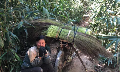 Đầu năm, người dân đổ xô đi nhặt "lộc trời" sau vụ mùa tất bật