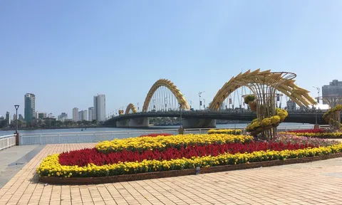 Đà Nẵng: Chi hơn 10 tỷ đồng trang trí đường hoa phục vụ Tết Nguyên đán