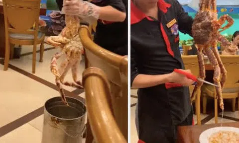 Tiết canh cua hoàng đế có gì đặc biệt mà giá đến 8 triệu đồng mỗi bát?