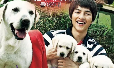 5 bộ phim đáng xem nhất dịp Quốc tế thiếu nhi 2020