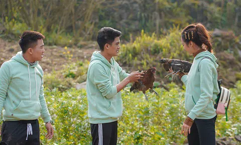 Đỗ Duy Nam té sấp mặt, Kiều Ngân đuổi bắt gà siêu điệu nghệ