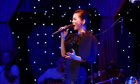 Lệ Quyên tổ chức đêm nhạc gây quỹ ủng hộ miền Trung, thu được gần 300 triệu đồng