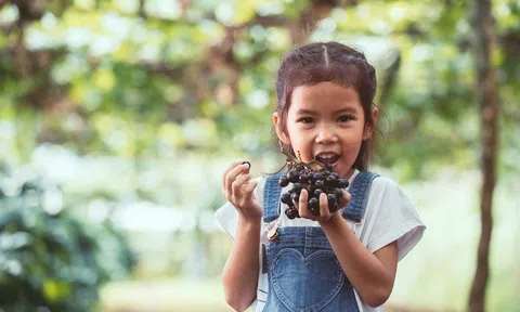 Bé trai 4 tuổi tử vong khi ăn nho, cha mẹ có con nhỏ nhất định phải lưu ý