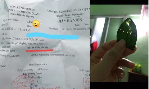 Bé 6 tuổi cấp cứu vì ngộ độc loại cây cảnh phổ biến