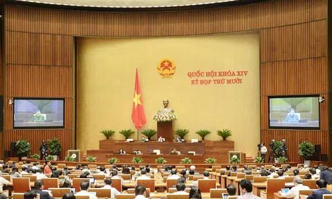 Sáng 13/11, Quốc hội thảo luận về dự án Luật Phòng, chống ma túy (sửa đổi)