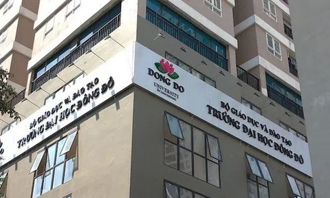 Nữ Giám đốc làm trung gian, giới thiệu 14 trường hợp để đại học Đông Đô cấp bằng giả