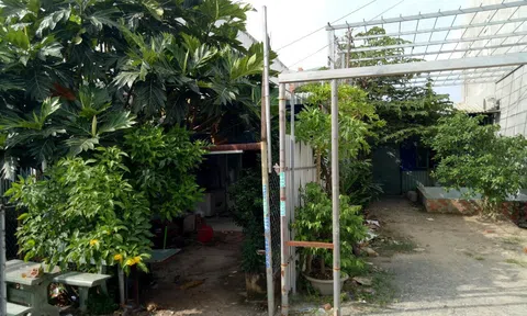 Vụ tranh chấp đất tại Bình Dương:  Áp dụng luật chưa đầy đủ, phù hợp, dẫn đến có sai sót