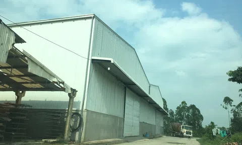 Phòng Tài Nguyên và Môi trường trả lời về việc Viglacera Từ Liêm 'xẻ đất' cho thuê trái phép