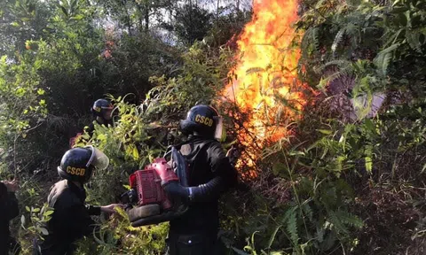 500 cán bộ chiến sỹ trắng đêm dầm mình giữa biển lửa cứu rừng