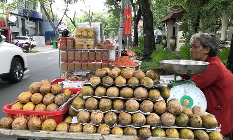 Dậy từ 4h sáng, bà cụ 64 tuổi bán cóc dạo "bỏ túi" 30-40 triệu đồng/tháng