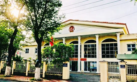 Thương con dâu có cuộc hôn nhân bất hạnh, cha chồng xin giảm án cho kẻ giết con mình