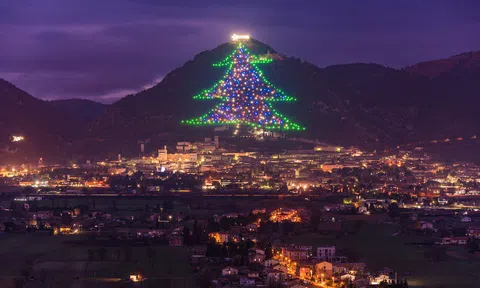 7 cây thông Noel rực rỡ nhất Giáng sinh năm nay