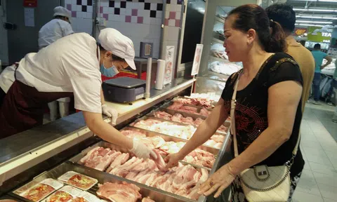 Giá lợn hơi tiếp tục giảm do nhập khẩu lợn sống