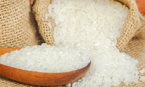 Giá gạo hôm nay 24/6: Bình ổn giá