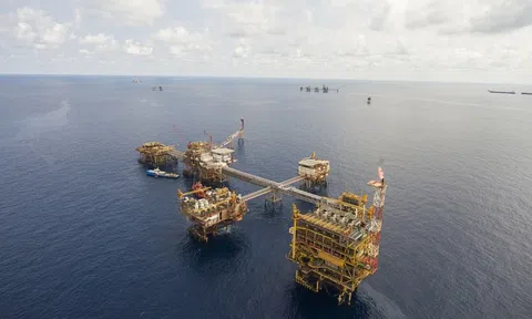 Giá xăng dầu hôm nay 29/6: Lao dốc phiên đầu tuần