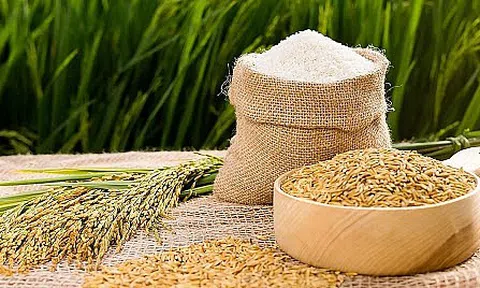 Việt Nam sẽ có 14 mặt hàng được hưởng hạn ngạch thuế quan khi vào EU