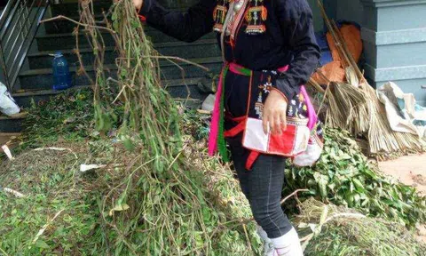 Lương y Lý Thị Mỹ Châu: “Thuốc quý cốt là ở cái tâm của người thầy thuốc”