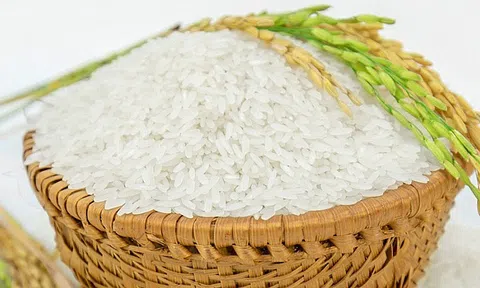 Giá gạo hôm nay 2/7: Đi ngang tại phiên sáng