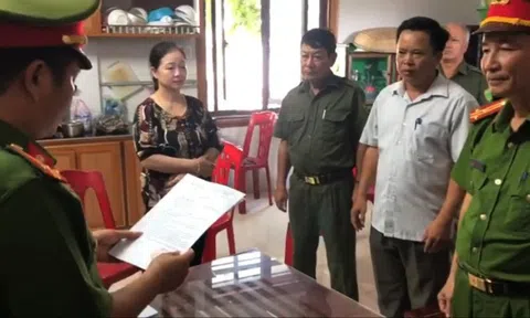 Khởi tố nữ giám đốc buôn lậu gạo trong đợt dịch Covid - 19