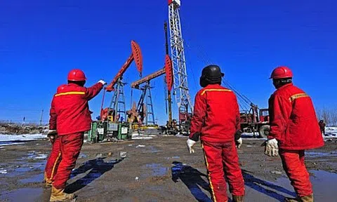 Giá xăng dầu hôm nay 16/7: Hàng tồn kho giảm, giá dầu tăng trở lại