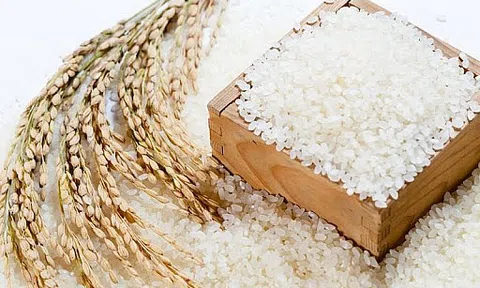 Giá gạo hôm nay 20/7: Thị trường ổn định ngày đầu tuần