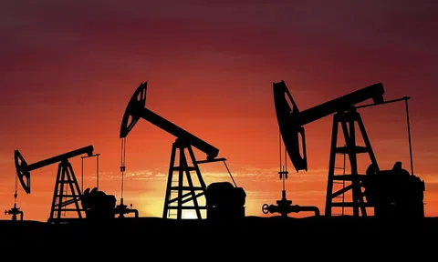 Giá xăng dầu hôm nay 22/7: Giá dầu tăng trở lại