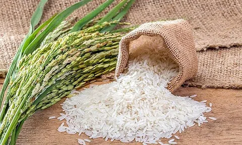 Giá gạo hôm nay 25/7: Trầm lắng ngày cuối tuần