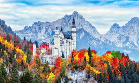 Bản hòa tấu sắc thu khắp thế giới