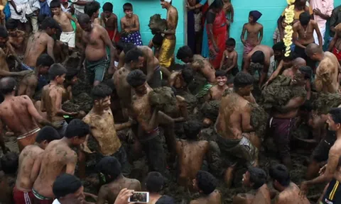 Clip: "Cuộc chiến phân bò" ở Ấn Độ khiến nhiều người rợn tóc gáy