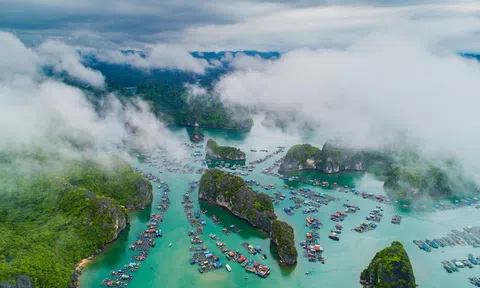 Video: Cận cảnh vẻ đẹp đầy mê hoặc của Vịnh Hạ Long