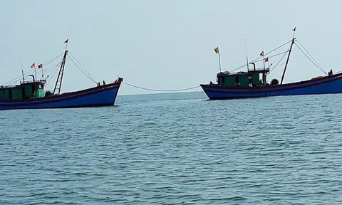 Hải Hậu - Nam Định: Tàu giã cào tận diệt hải sản ven bờ, ngư dân kiệt nguồn sống (Bài 1)