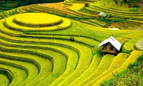 Video: Việt Nam lọt vào top du lịch tuyệt vời nhất thế giới