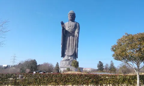 Video: Chiêm ngưỡng tượng Phật cao 38 tầng ở Nhật Bản