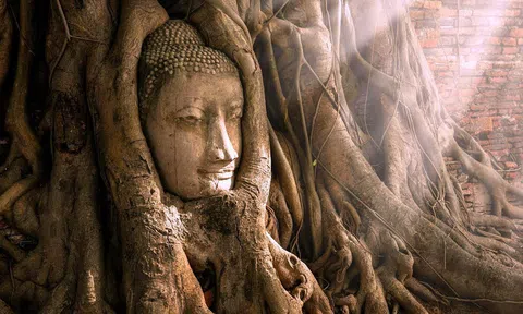 Video: Cận cảnh tượng mặt Phật 700 năm tuổi ẩn mình trong rễ cây cổ thụ tại Thái Lan
