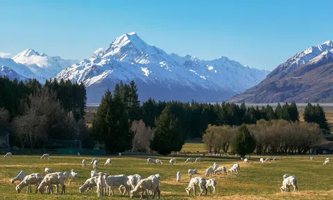 Video: Vẻ đẹp thơ mộng của vùng đất New Zealand