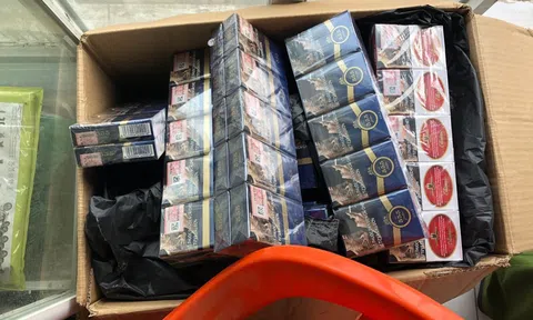 Bình Dương: Chuyển truy cứu trách nhiệm hình sự với hộ tàng trữ thuốc lá nhập lậu "khủng"