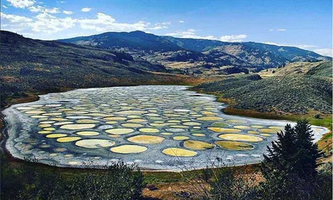 Video: Độc đáo hồ nước chấm bi ở Canada